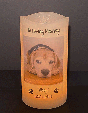 Pet Memorial with Photo on 4 X 8 flameless LED Candle